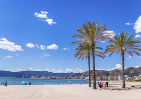 Playa de pequeña extensión, indicada para realizar buceo que recibe su nombre por encontrarse cercana al faro de Cullera, en una zona muy urbanizada.
