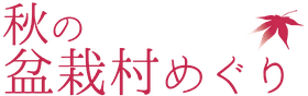 bonsaimeguri ページ！