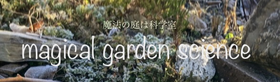 Magical garden Science