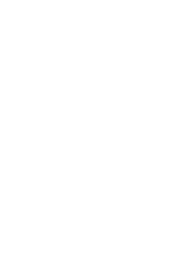 NIWA - The Core Of A Boiling Chaos