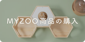 商品ページ｜セラフ榎本 キャットステップ通販・施工