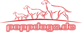 poppdogs Gassiservice