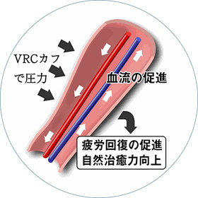 VRC加圧プログラムは、血流を制限して成長ホルモンの分泌を促すメソッドです。  血圧計の要領で、短時間に駆血や血流制限を行うことで、「熱い！」と感じるほど、血流が促進され、体温上昇と代謝がアップします。継続的に行うことで、冷えやむくみなどの原因の血流の不足が改善され、メタボの解消や筋力アップ、ダイエットや痩身効果も期待できます。