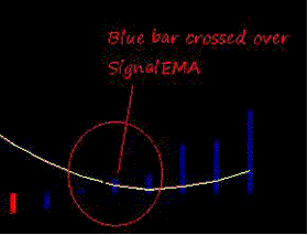 Forex Bliz