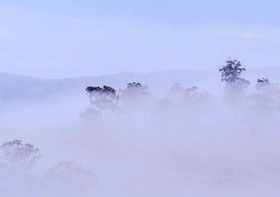 landschaft im nebel atemreise einzelsession holotrope atemreise atemreisen breathwork by liane adam leipzig berlin