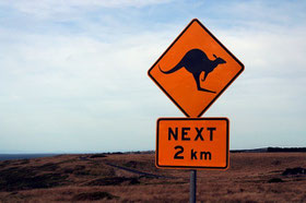 Känguru, Australien, Verkehrsschild