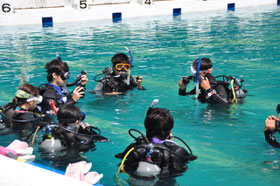 浅場の海やプールでダイビングのスキルをしっかり練習します。