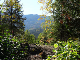 Urlaub in Quebec: Besuch im Parc national de la Gaspésie.