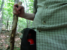 Vorsichtsmassnahmen beim Wandern im Cape Breton Highlands National Park: Bear spray und ein grosser Stock.