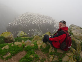 Urlaub in Neufundland: Selfie mit hunderten Vögeln in Cape St. Mary's Ecological Reserve.