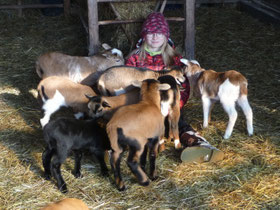 Gretha-Stina ist unsere "Heidi" ;-}