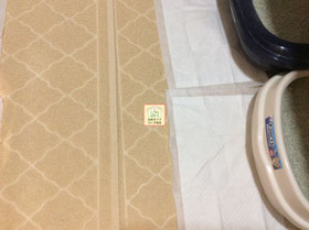 大阪兵庫で家事代行サービスはお掃除上手で快適な暮らしをご提案ペットのトイレ掃除AFTER