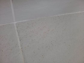 大阪兵庫で家事代行サービスはお掃除上手で快適な暮らしをご提案
