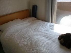 大阪兵庫で家事代行サービスはお掃除上手で快適な暮らしをご提案無くしもの探し