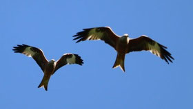 Photo décorative  stationnaire milan