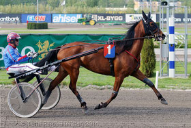 Reve d'Amour (Torbjörn Jansson) in Solvalla