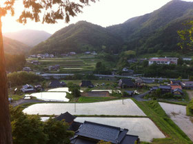 May before rice planting, 2015