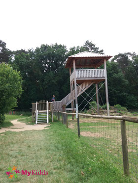 Aussichtsturm aus Holz