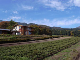 平成２７年度　松本市都市景観賞受賞　土肥農園　news設計室　建築家：丸山和男