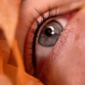 Wimpernkranzverdichtung in schwarz direkt danach