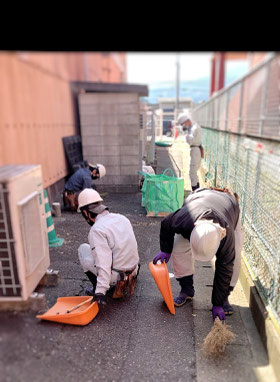 除草　除草作業　草取り　草引き