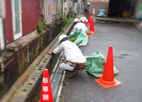 除草　草取り　草引き　草むしり