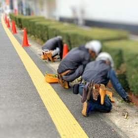 除草　草取り　手取り　草引き