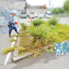 草刈り　草引き　除草　機械刈り