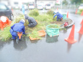 除草　草取り　草引き