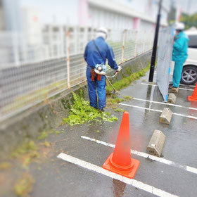 機械刈り　草刈り　除草　刈払機