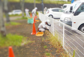 除草　雑草取り　草取り　草引き