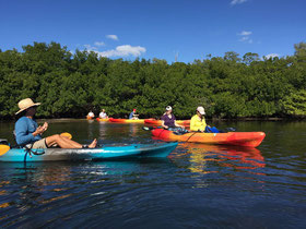 Kayaktour