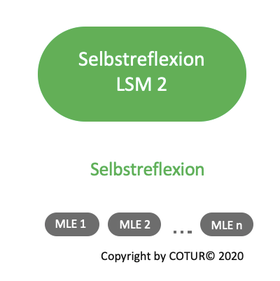 Leadershape by COTUR® - Selbstreflexion - Leader Strategie