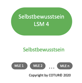 Leadershape by COTUR® - Selbstbewusstsein -Leader-Strategie