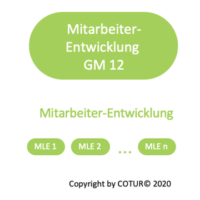 Leadershape by COTUR® - Mitarbeiterentwicklung -  Grundlagen Management