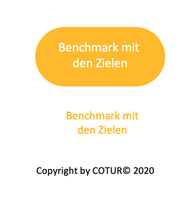 Leadershape by COTUR® - Benchmark mit den Zielen