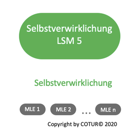 Leadershape by COTUR® - Selbstverwirklichung - Leader Strategie