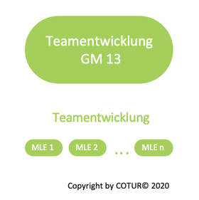 Leadershape by COTUR® - Teamentwicklung -  Grundlagen Management