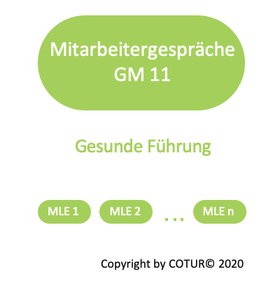 Leadershape by COTUR® - Mitarbeitergespräche -  Grundlagen Management