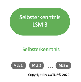 Leadershape by COTUR® - Selbsterkenntnis - Leader Strategie