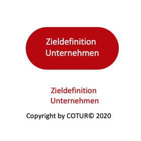 Leadershape by Cotur® - Zieldefinition Unternehmen