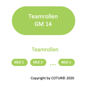 Leadershape by COTUR® - Teamrollen -  Grundlagen Management