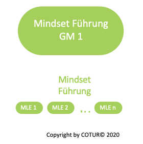 Leadershape by COTUR® - Mindest Führung - Grundlagen Management