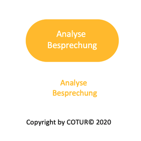 Leadershape by COTUR® - Analyse Besprechung