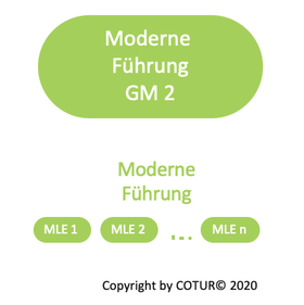 Leadershape by COTUR® - Moderne Führung  Grundlagen Management