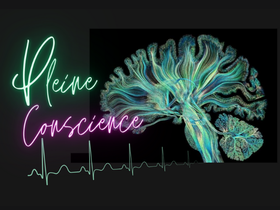 Pleine conscience; mindfulness, atelier pleine conscience, peggy meunier kinésiologue, atelier bien-être bordeaux, Atelier pleine conscience bordeaux, ici et maintenant,