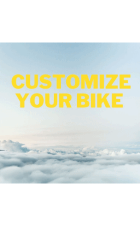 Scott custom Road