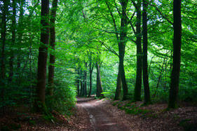 Balade Nature