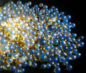 blue amber beads