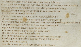 Latin Bible manuscripts Codex bezae